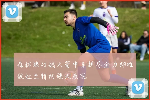森林狼对战火箭申京拼尽全力却难敌杜兰特的强大表现