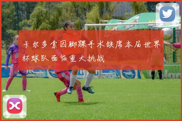 卡尔多索因脚踝手术缺席本届世界杯球队面临重大挑战